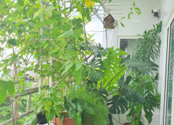 Cần bán chung cư 74m2 tại trung tâm Quận 2, full nội thất