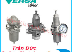 Bộ lọc khí Versa | Versa Air Filter | Nhà cung cấp Versa chính hãng