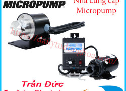 Bơm bánh răng Micropump | Micropump Gear Pump