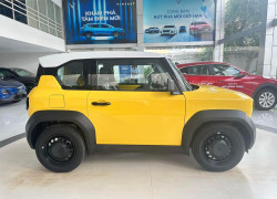 VF3 nhiều màu a