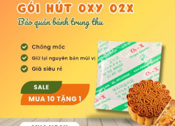 Lý Do Nên Dùng Gói Hút Oxygen Bảo Quản Bánh Trung Thu
