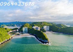 Đầu tư căn hộ nghỉ dưỡng Flamingo Cát Bà – Nhận sổ hồng trao tay, khai thác 4 mùa, lợi nhuận đều đặn!