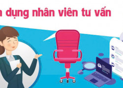 Tuyển 3 nhân viên tư vấn ở văn phòng, làm tại Đồng Tháp