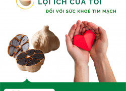 Cung cấp Bột tỏi đen hàng chất lượng cao giá tốt