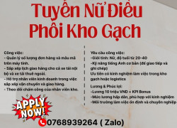Tuyển Nhân Viên Điều Phối Kho Gạch (Chỉ Tuyển Nữ)