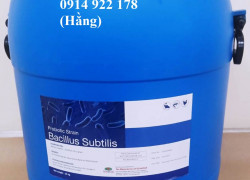 Bacillus Subtilis, sản xuất thức ăn chăn nuôi, bổ sung hệ vi sinh đường ruột cho vật nuôi