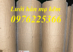 Lưới mạ kẽm nhúng nóng 12x12