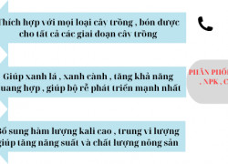 Bán phân bón hỗn hợp NPK 3 màu nguyên liệu nhập khẩu tan nhanh