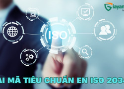 Tiêu Chuẩn EN ISO 20345 Là Gì? Vì Sao Quan Trọng Khi Mua Giày Bảo Hộ?
