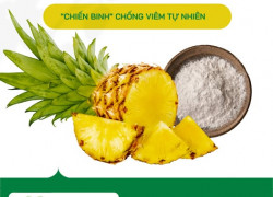 Cung cấp Bromelain trong sản xuất dược phẩm, tpbvsk