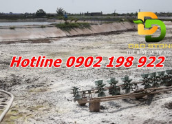 CHUYÊN CUNG CẤP VÔI CỤC – VÔI BỘT – VÔI HẠT – GIÁ TẬN XƯỞNG