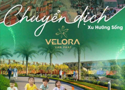 SHOUSE GIÁ SIÊU MỀM NGAY TRUNG TÂM THÀNH PHỐ - GIỮ VỊ TRÍ VÀNG, NHẬN NGAY CƠ HỘI SINH LỜI!