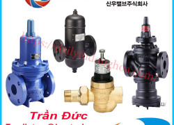 Van giảm áp Shinwoo | Shinwoo Pressure Reducing Valve