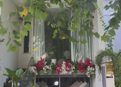 Cơ hội vàng sở hữu đất biển Mỹ Khê ngay đường Lê Ninh, Sơn Trà, giá tốt cho nhà đầu tư nhanh tay