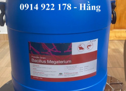 Men vi sinh Bacillus Megaterium, hỗ trợ đường ruột vật nuôi