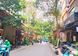 View sân chơi, phân lô bàn cờ, ô tô đỗ cửa phố Nguyên Hồng 50m² x 5T – 18 tỷ