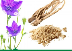 Mua Bán Cao khô Cát cánh hàng chất lượng cao giá tốt