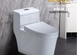 Bồn Cầu 1 khối Lùn Nắp Dày CODOR BC5C399