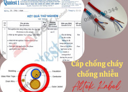 Cáp tín hiệu lõi xoắn, chống cháy, chống nhiễu 2x0.75, 2x1.0, 2x1.5, 2x2.5