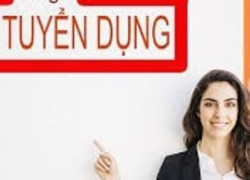 Tuyển dụng nhân viên hành chính nhân sự