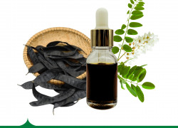 Chiết xuất Bồ kết - nguyên liệu mỹ phẩm dưỡng tóc, kháng khuẩn