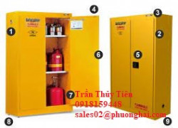 TỦ ĐỰNG CHỐNG CHÁY CHUYÊN DỤNG CHO PHÒNG THÍ NGHIỆM