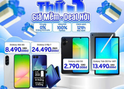 Thứ ba giá hời Săn seal siêu phẩm tại Samplaza