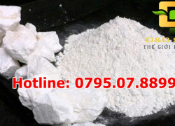 🔥 Vôi Bột Xử Lý Chuồng Trại – Khử Trùng, Khử Mùi, Phòng Dịch Hiệu Quả 🔥