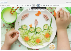 công nghệ sấy dẻo trái cây​