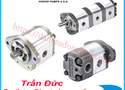 Bơm bánh răng Honor | Nhà cung cấp Honor pumps chính hãng