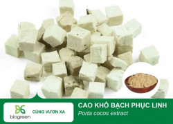 Cung cấp Cao khô Bạch phục linh hàng giá cạnh tranh