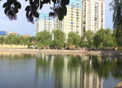 SIÊU HIẾM_CĂN HỘ PHỐ TÂN MAI_THANG MÁY XỊN_FULL CÔNG NĂNG