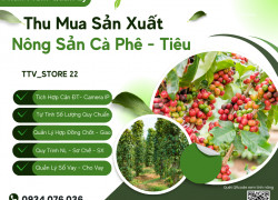Phần mềm tính quy chuẩn, mua bán Cafe, Tiêu