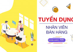 Tuyển gấp NV bán hàng, phụ kho & NV giao hàng đi làm tại Q7 & Q8