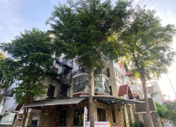 Bán Nhà Mặt Tiền Diệp Minh Châu, P.Tân Sơn Nhì, Q.Tân Phú