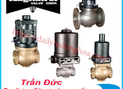 Van điện từ Magnatrol | Magnatrol Solenoid Valve
