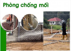 CTY chuyên về kiểm soát côn trùng cần tuyển NV kỹ thuật ĐI LÀM NGAY