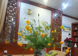Căn hộ D'El Dorado - Nâng tầm trải nghiệm sống bên Hồ Tây