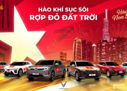 HÀO KHÍ SỤC SÔI, RỢP ĐỎ ĐẤT TRỜI 🇻🇳