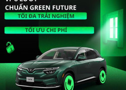 Từ ngàn năm lịch sử, hào khí non sông đã khắc sâu vào từng trang sử Việt.