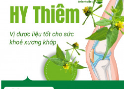 Cung cấp Cao khô Hy thiêm hàng chất lượng cao giá tốt