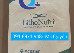 Cung cấp khoáng vi lượng, đa lượng từ tảo biển Litho cho tôm cá