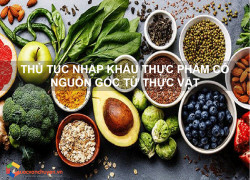 Thủ tục nhập khẩu thực phẩm có nguồn gốc từ thực vật