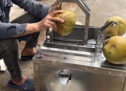 MÁY BỔ ĐÔI DỪA TỰ ĐỘNG - MÁY CHẺ DỪA TỰ ĐỘNG