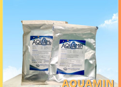 Aquamin – Khoáng tổng hợp dùng trong Nuôi Trồng Thủy Sản