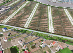 Bán đất Quất Lâm ,Giao Thuỷ,Nam Định