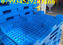 Pallet nhựa PL04-LS cho kho đông lạnh tại Đà Nẵng – 0799345292