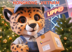 Giá Cước Vận Tải Biển Từ Hongkong Về Việt Nam