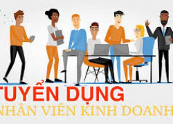 TUYỂN NHÂN VIÊN KINH DOANH NGÀNH LOGISTICS
