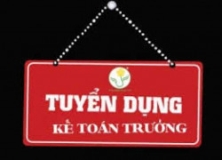 TUYỂN DỤNG KẾ TOÁN TRƯỞNG
